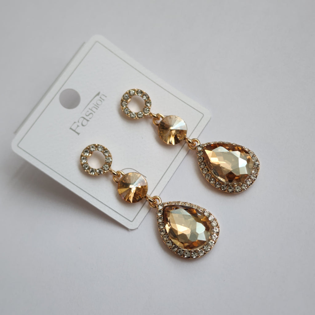 FE2301029 - Earrings