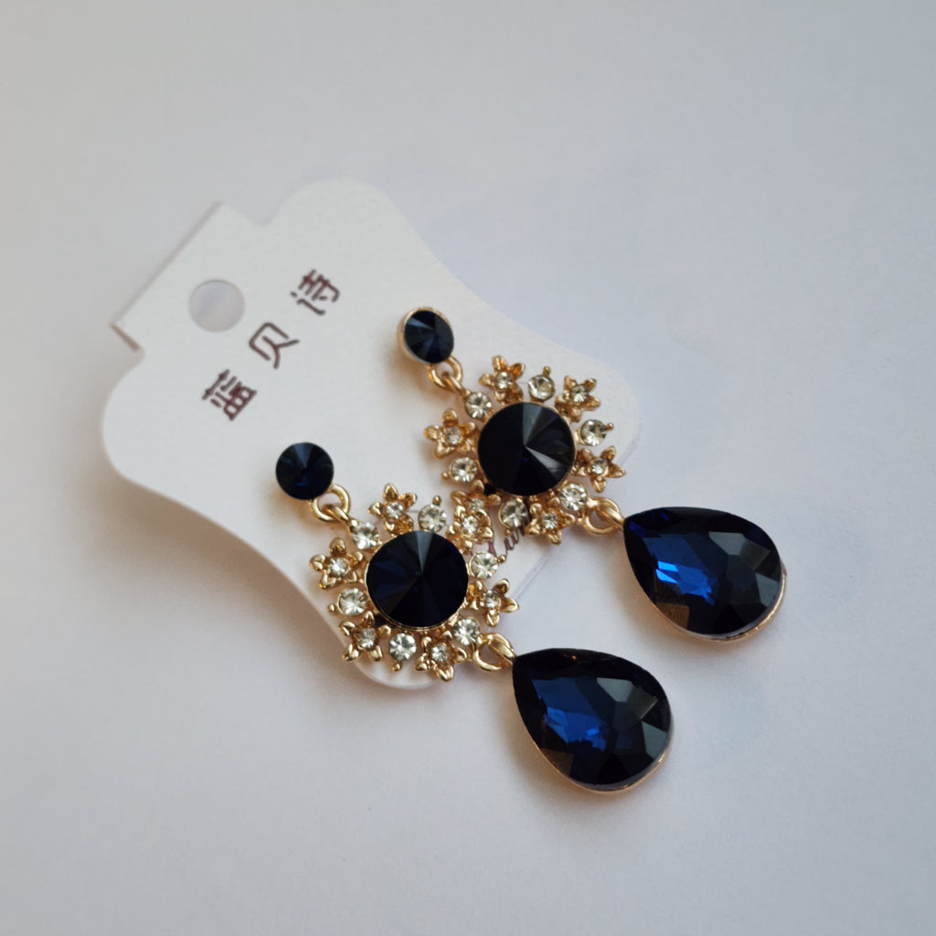 FE2301023 - Earrings