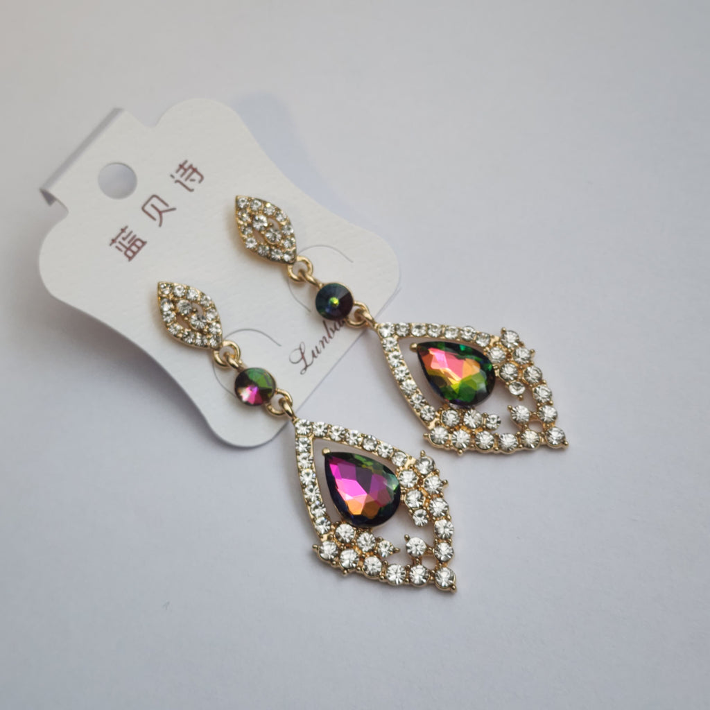 FE2301027 - Earrings