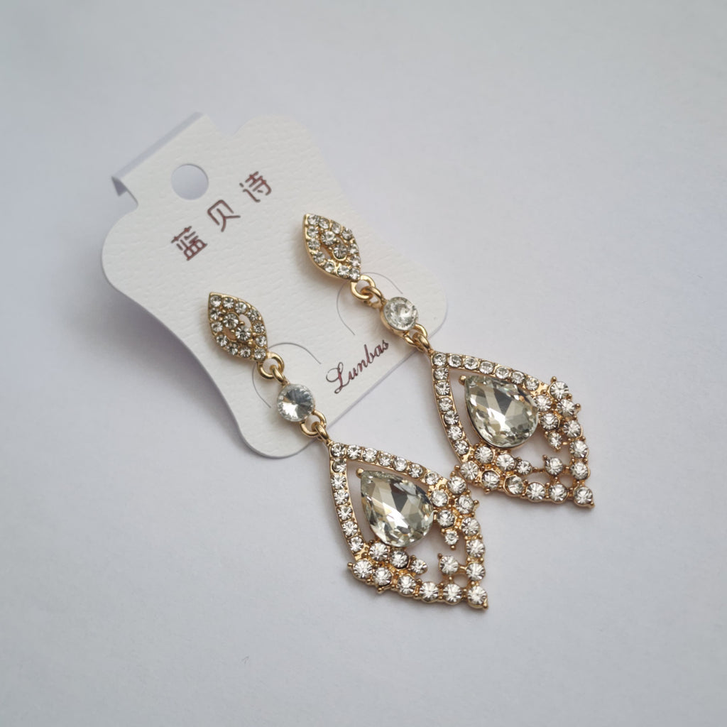 FE2301027 - Earrings