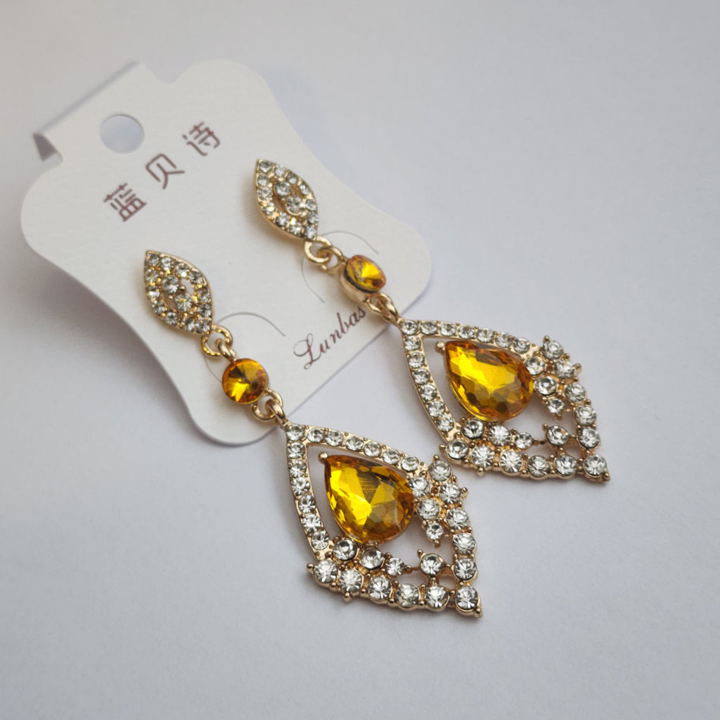 FE2301027 - Earrings