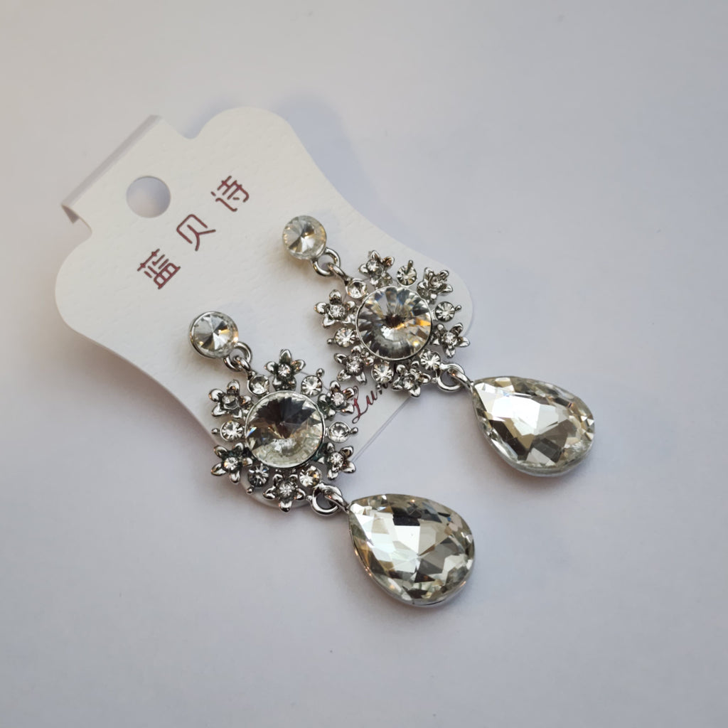 FE2301023 - Earrings