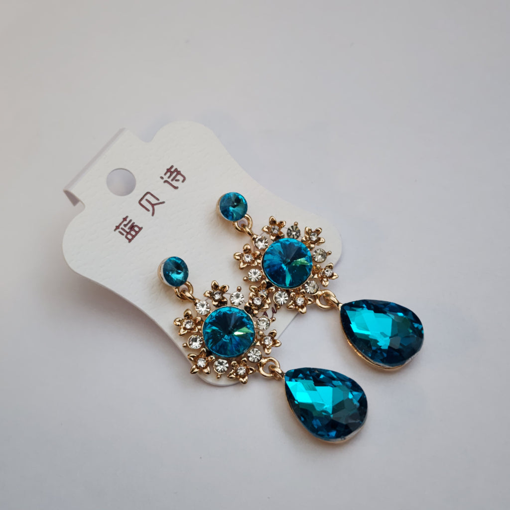 FE2301023 - Earrings