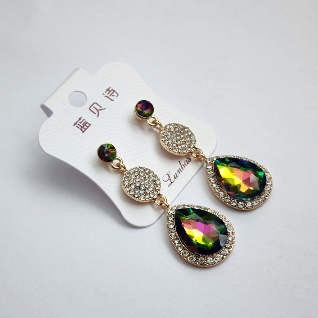 FE2301024 - Earrings