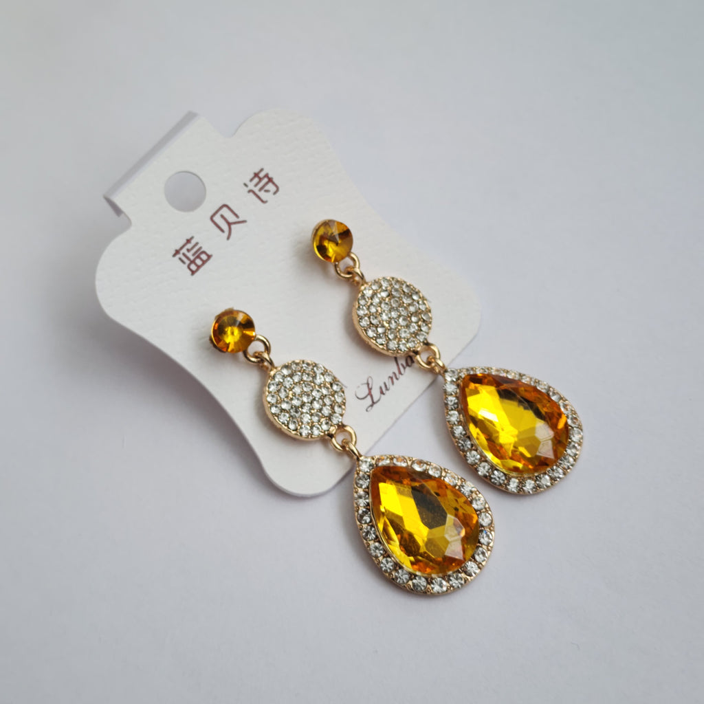 FE2301024 - Earrings