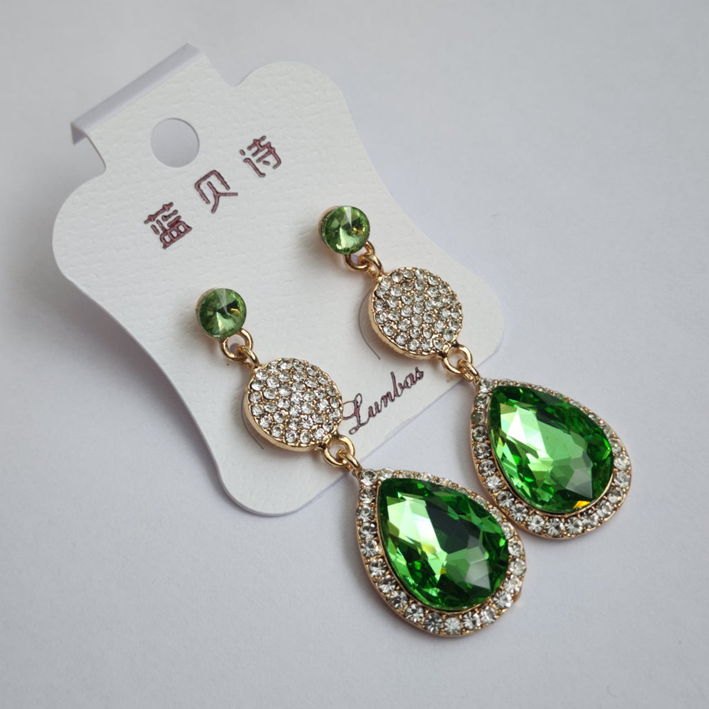 FE2301024 - Earrings