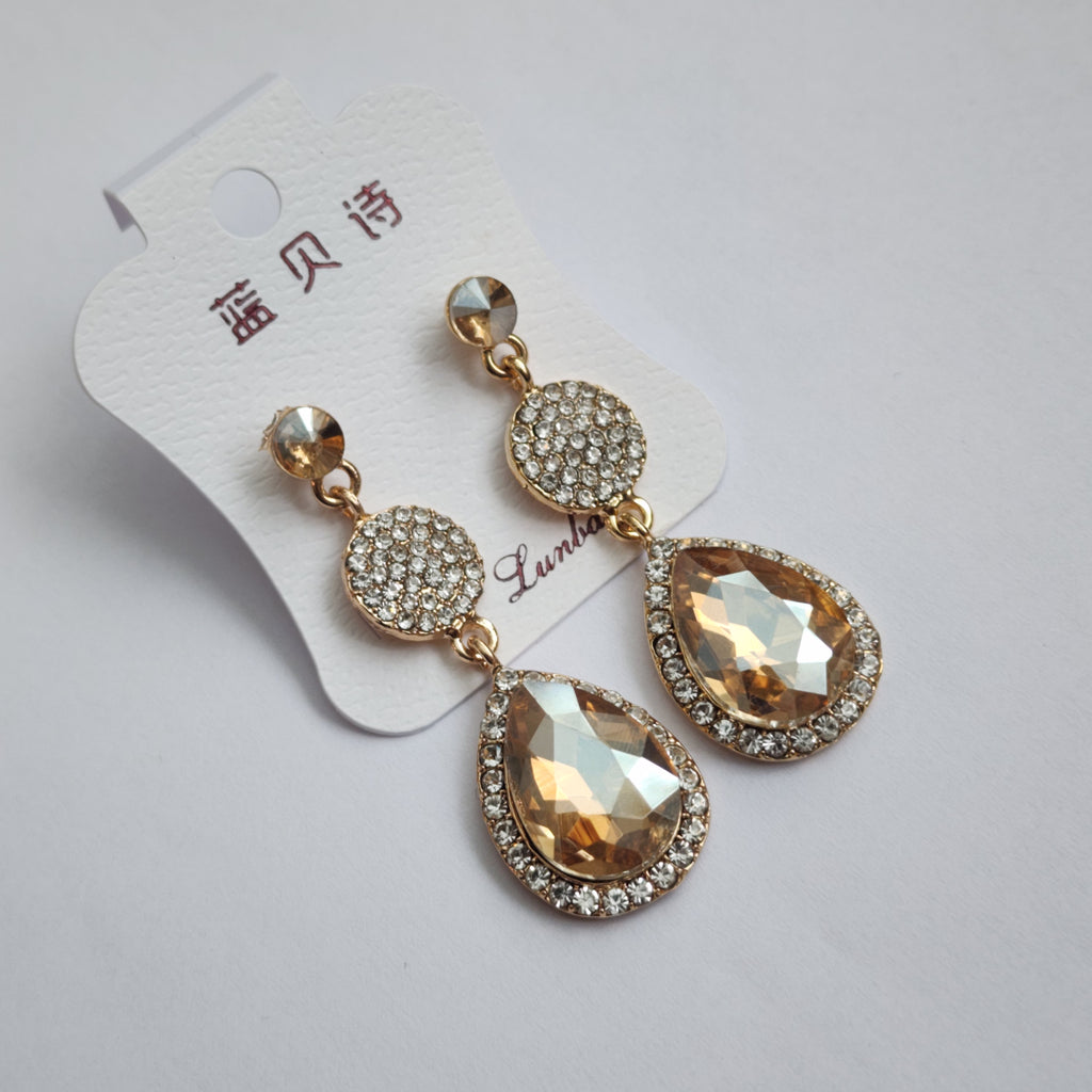 FE2301024 - Earrings