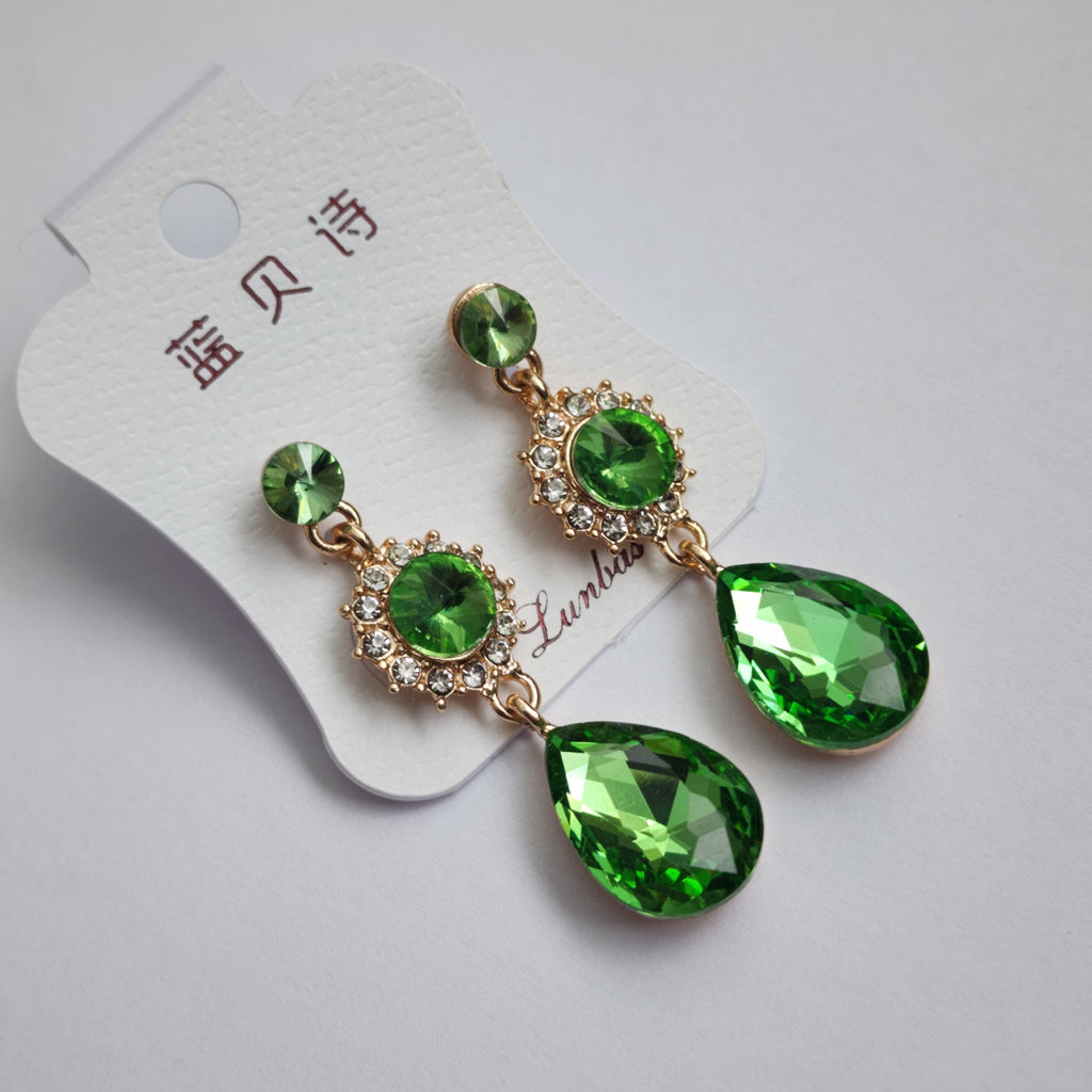 FE2301022 - Earrings