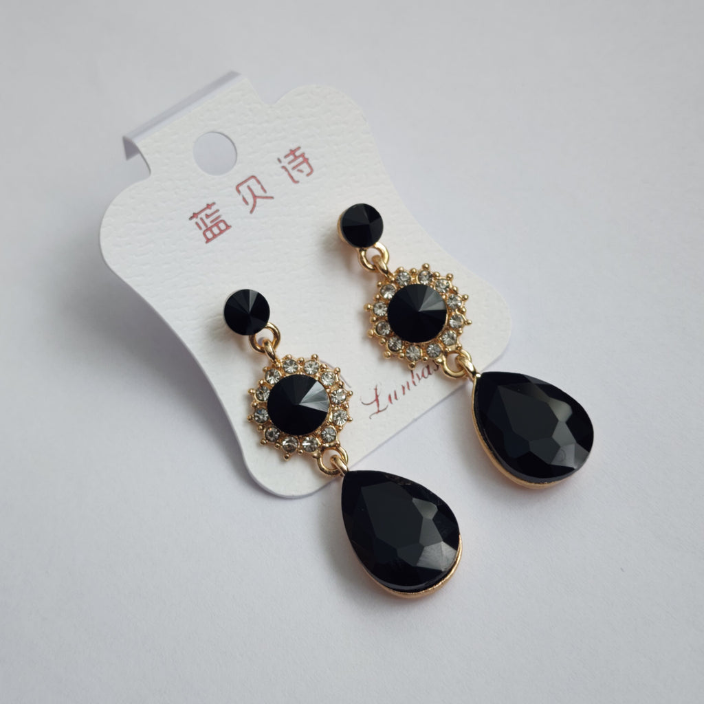 FE2301022 - Earrings