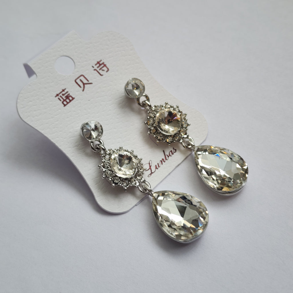 FE2301022 - Earrings