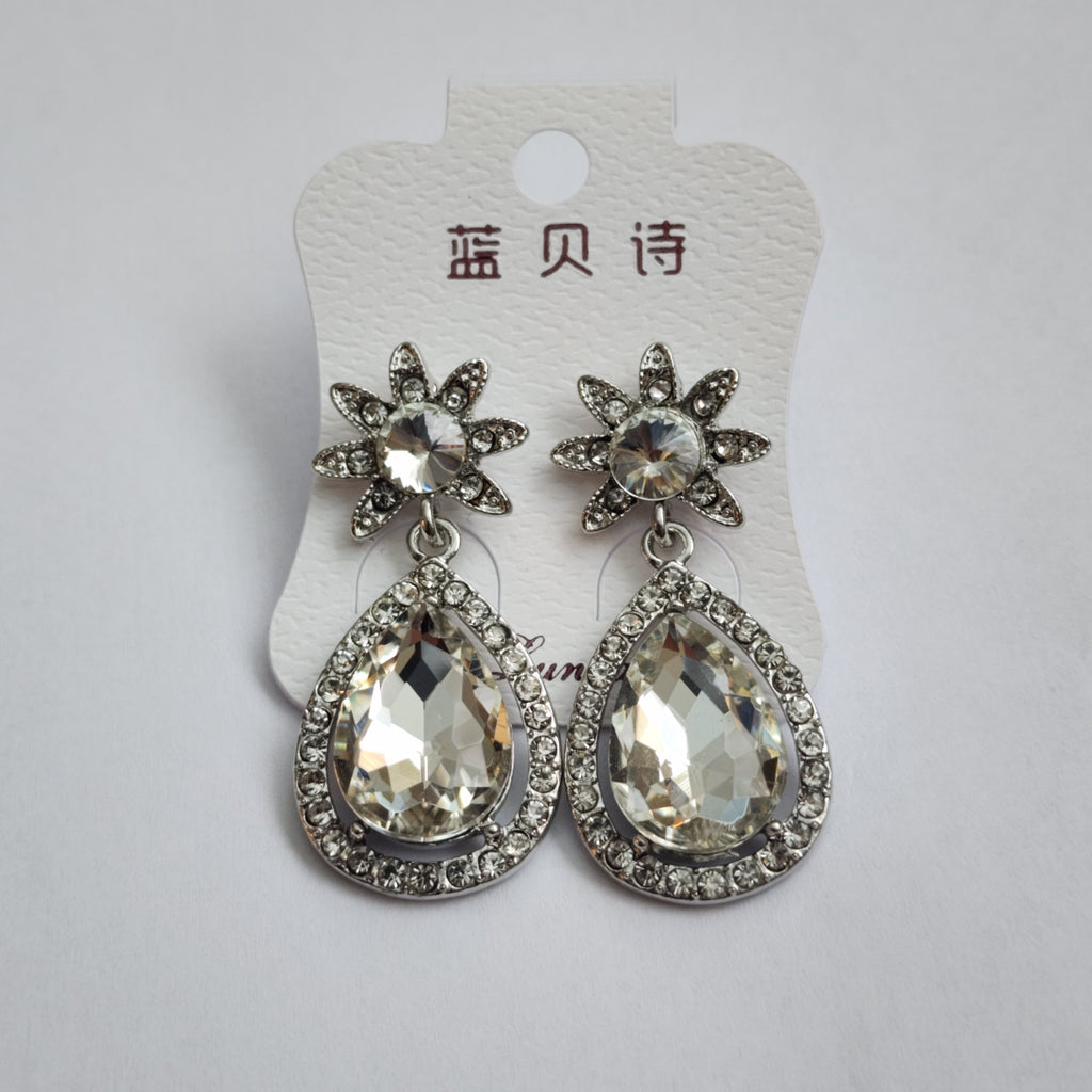 FE2301014 - Earrings