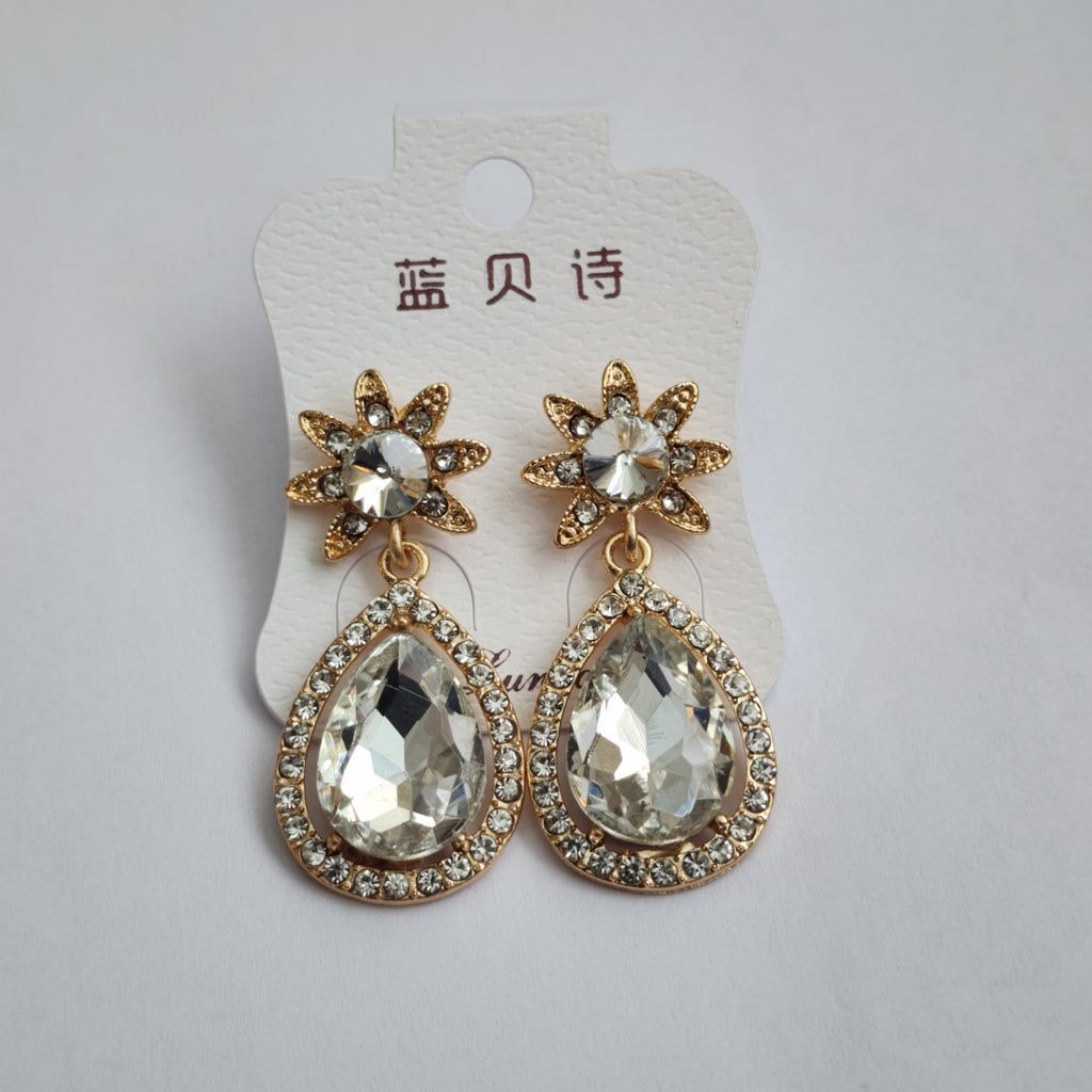 FE2301014 - Earrings