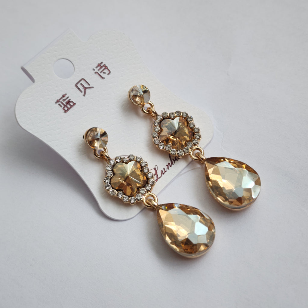FE2301032 - Earrings