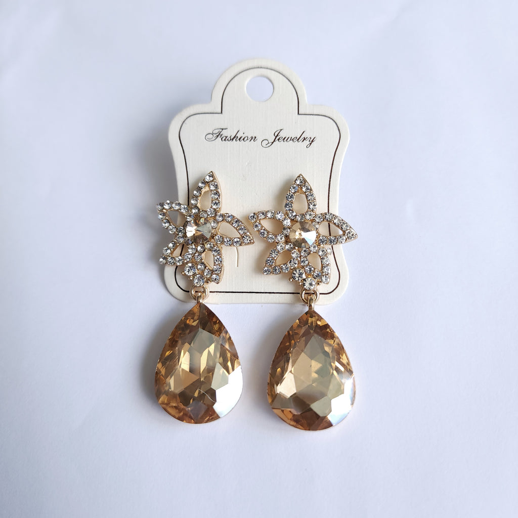 FE2301010 - Earrings