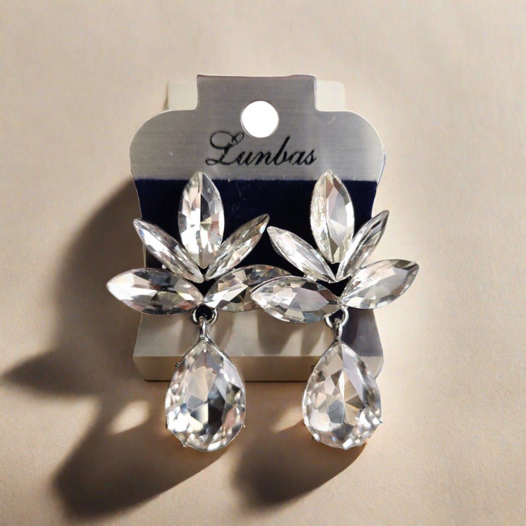 FE2301001 - Earrings