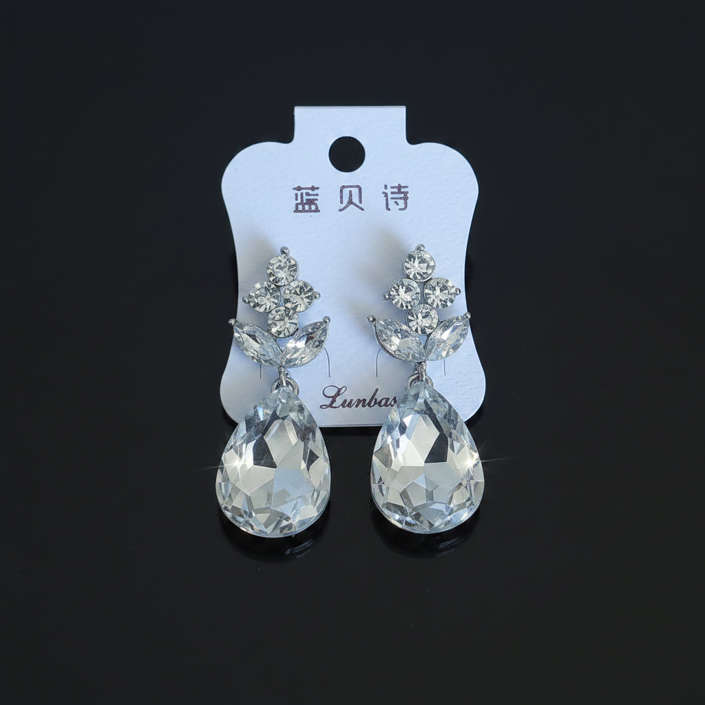 FE2301021 - Earrings
